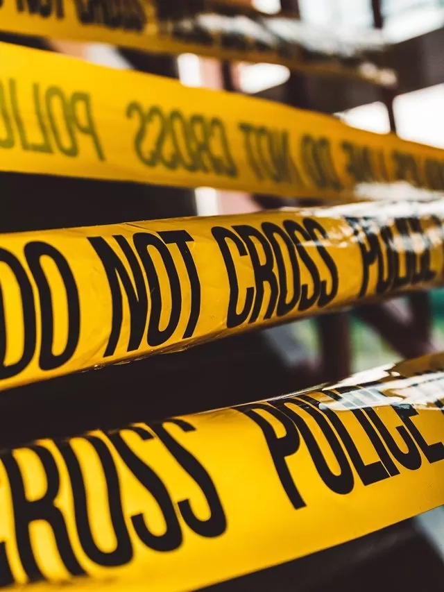 Canais para quem ama criminologia e terror